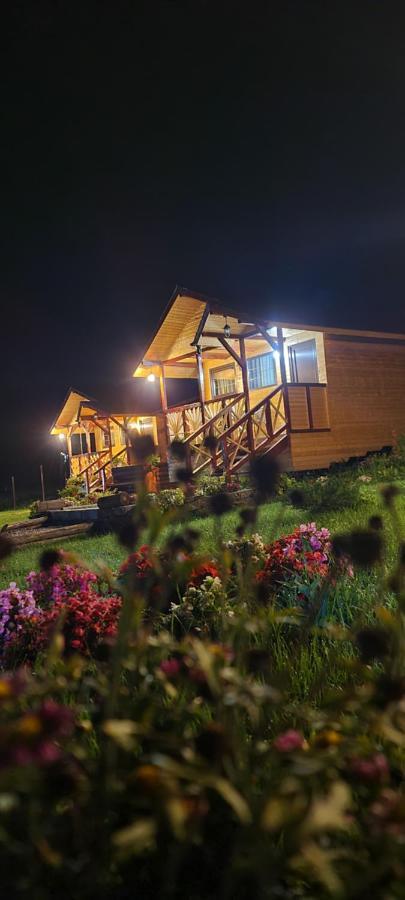 Baltina Parc Transfagarasan Villa Curtea De Arges Exterior photo