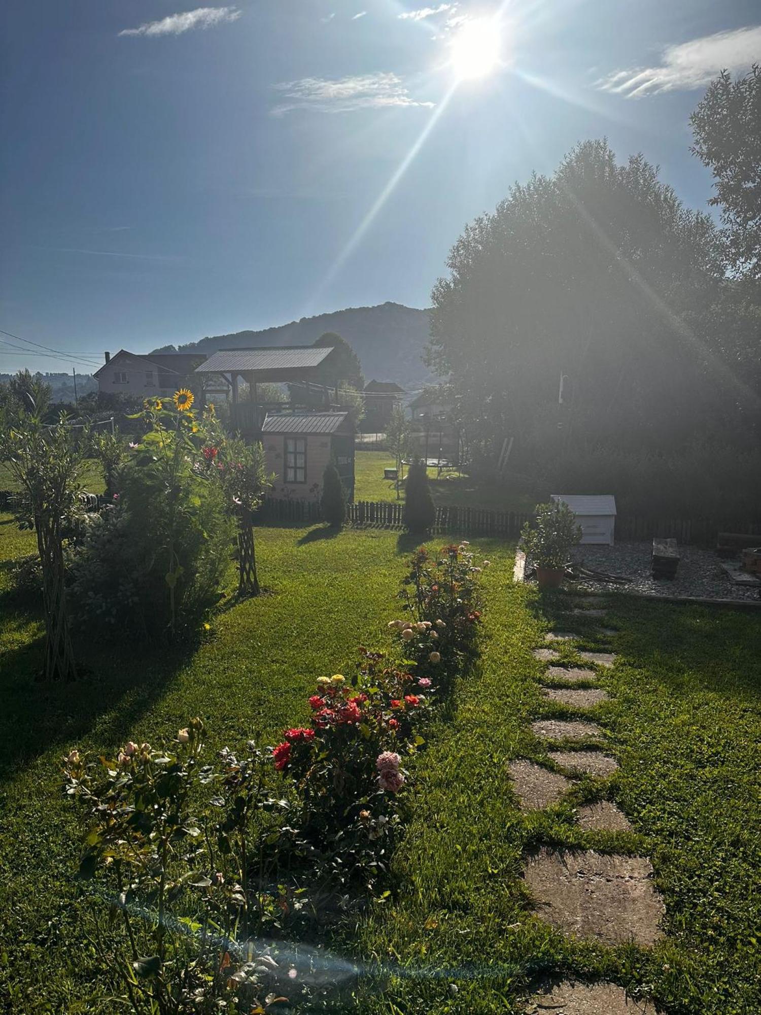 Baltina Parc Transfagarasan Villa Curtea De Arges Exterior photo